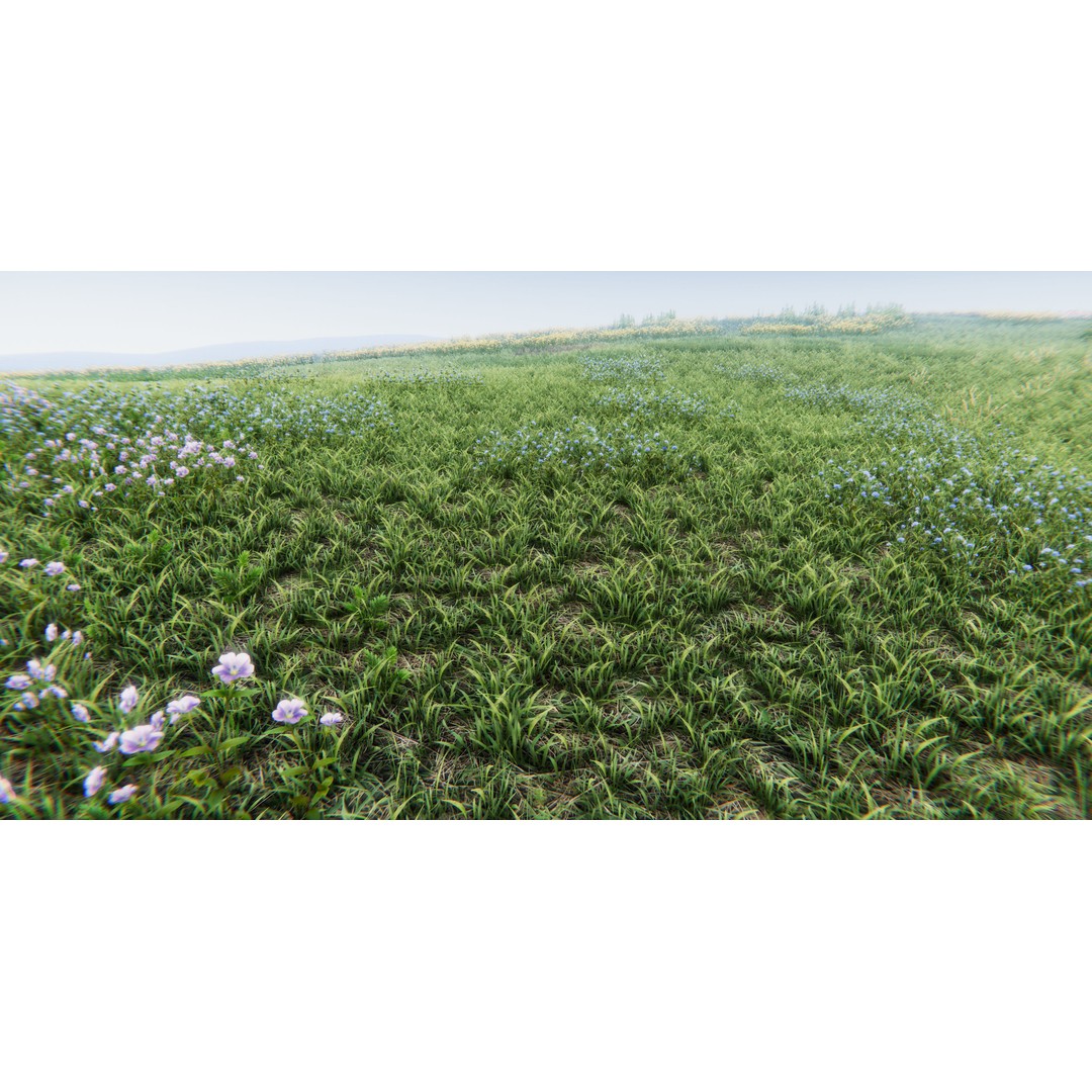 Realistic Grass Flowers Pack 3D Model – High Quality Textures for Unity - View 42