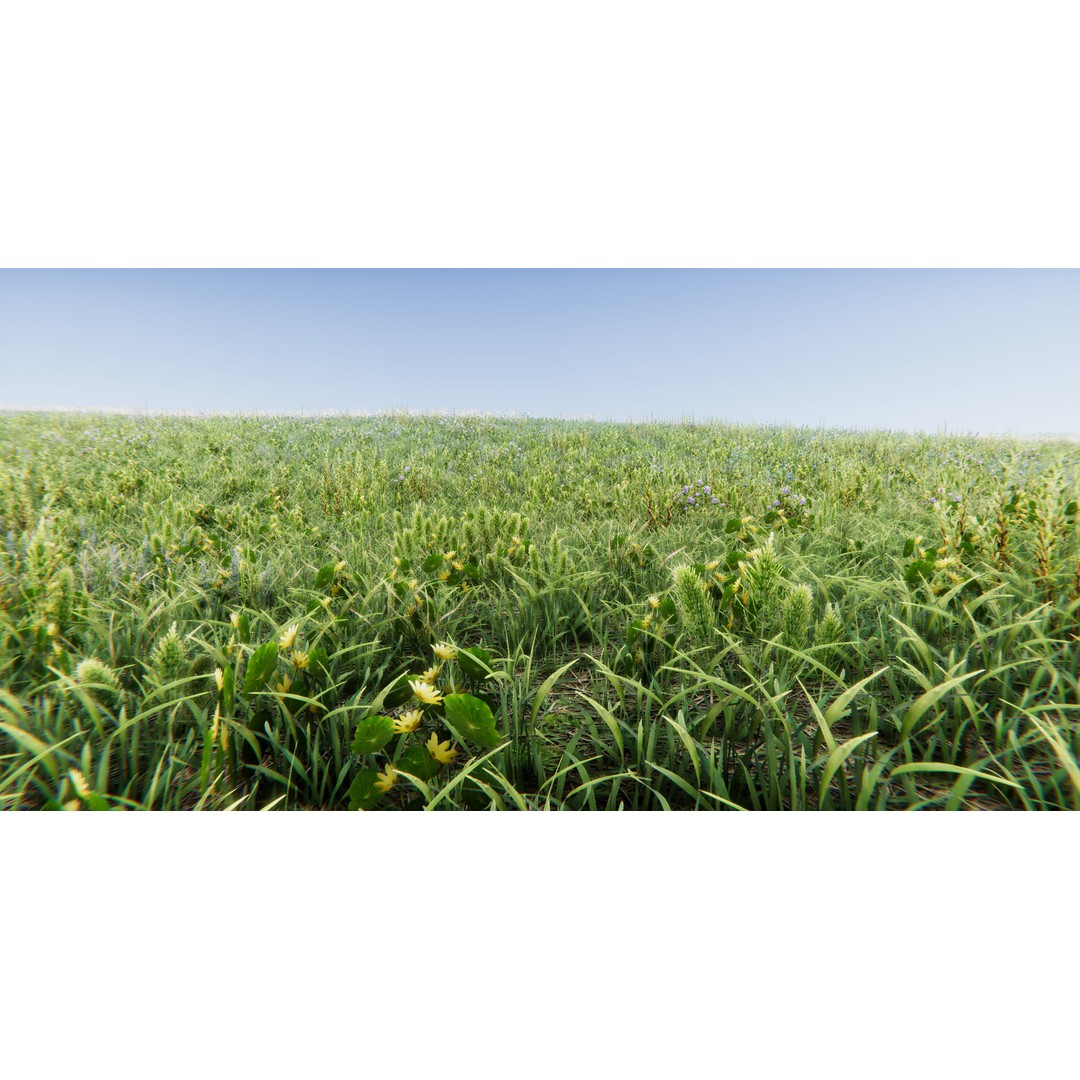 Realistic Grass Flowers Pack 3D Model – High Quality Textures for Unity - View 43