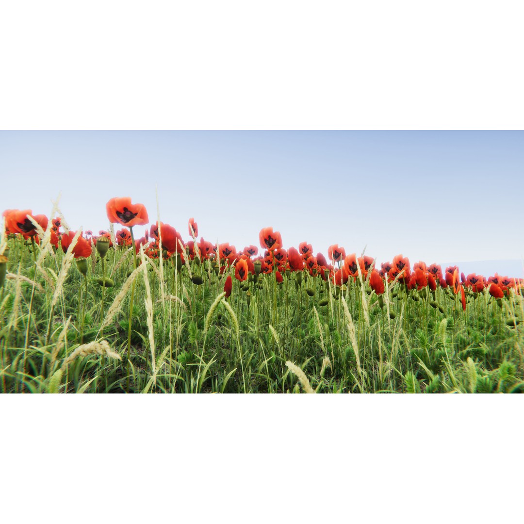 Realistic Grass Flowers Pack 3D Model – High Quality Textures for Unity - View 8