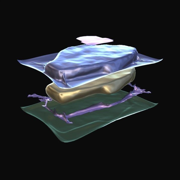 Steak Chuck - High-Quality Photorealistic 3D Model - View 9