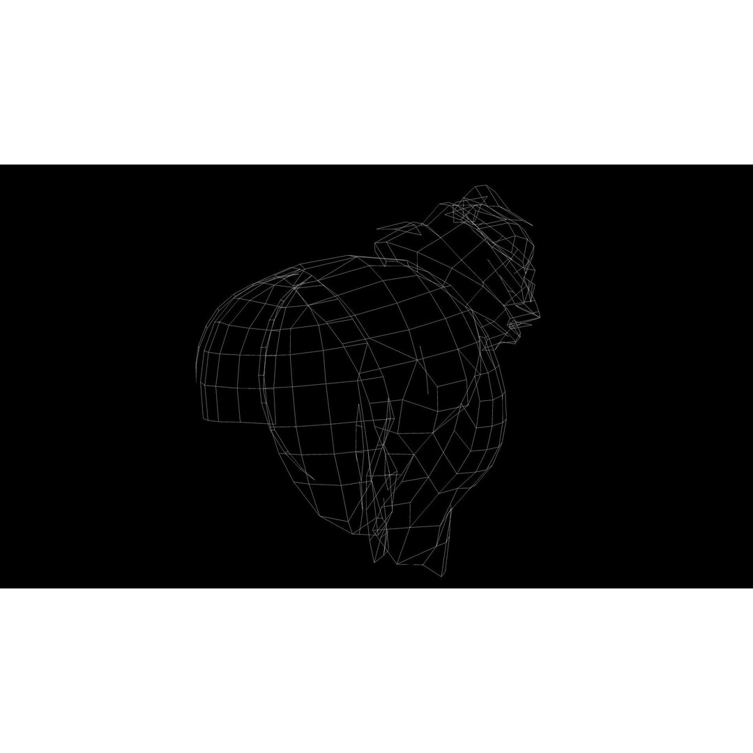 Female Hair 3D Model – Low Poly Realistic Hairstyle, Editable FBX - View 12