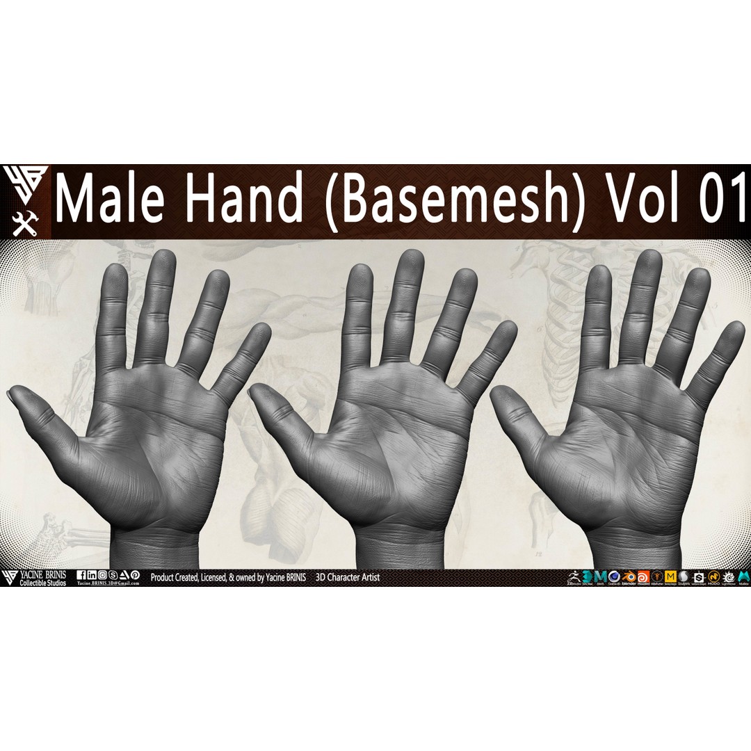 Male Hand 3D Model – Low Poly BaseMesh for Character Design - View 12