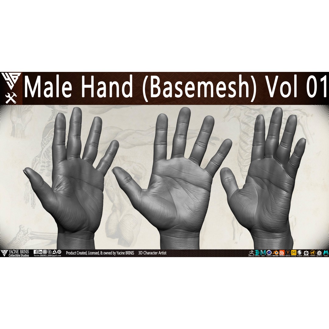 Male Hand 3D Model – Low Poly BaseMesh for Character Design - View 13