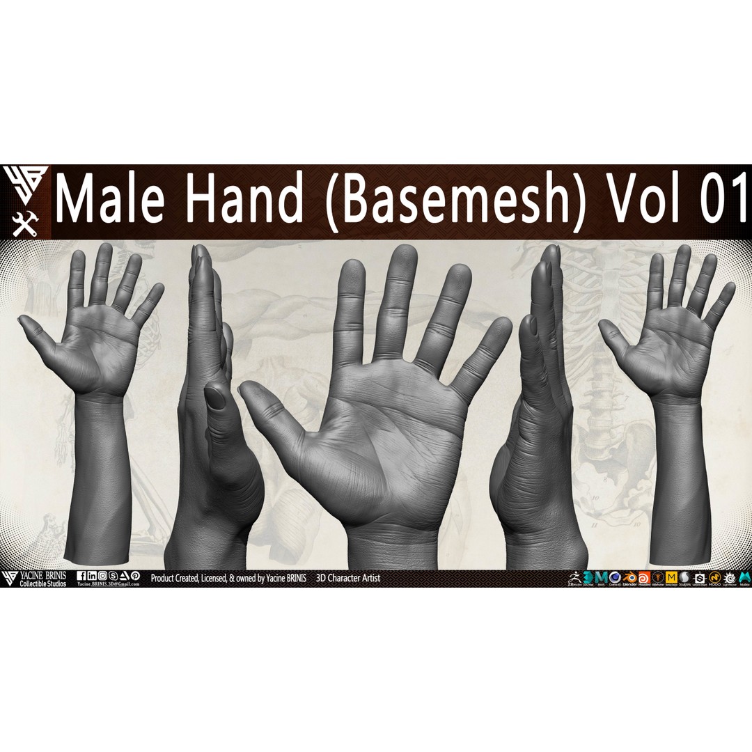 Male Hand 3D Model – Low Poly BaseMesh for Character Design - View 14