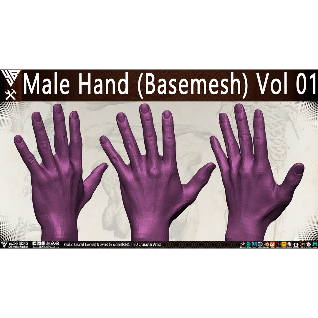 Male Hand 3D Model – Low Poly BaseMesh for Character Design - View 17
