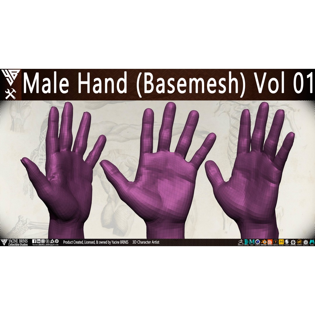 Male Hand 3D Model – Low Poly BaseMesh for Character Design - View 18
