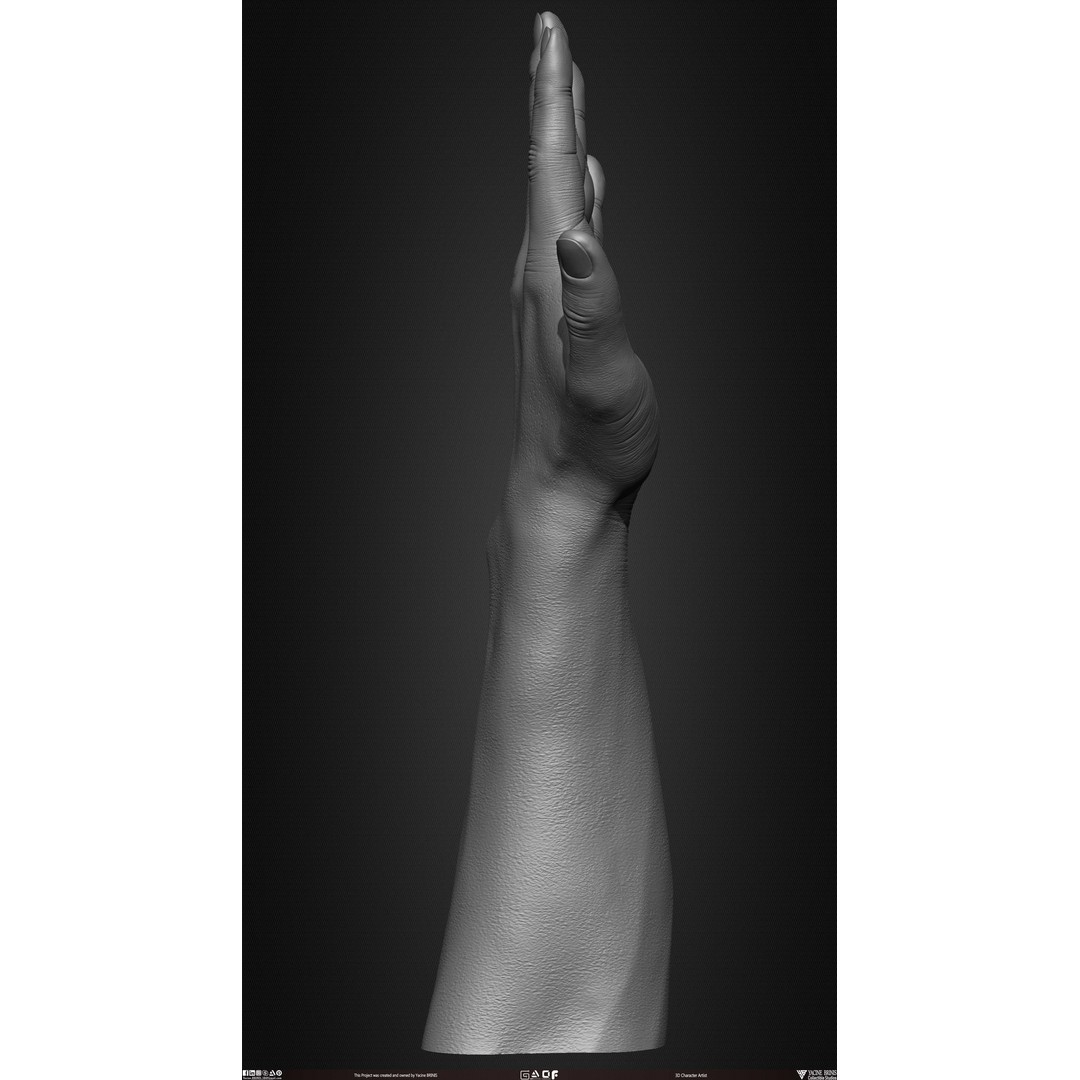 Male Hand 3D Model – Low Poly BaseMesh for Character Design - View 21