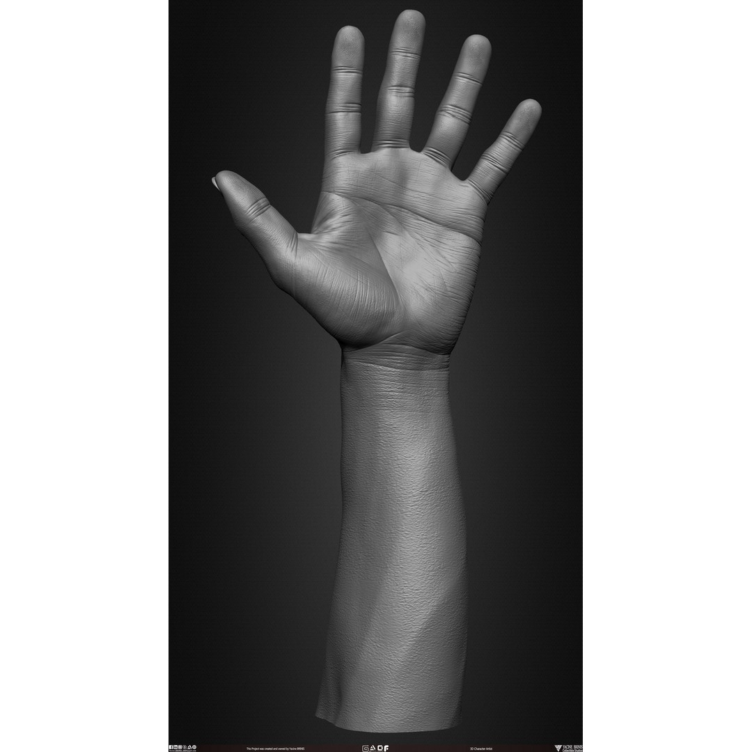 Male Hand 3D Model – Low Poly BaseMesh for Character Design - View 22