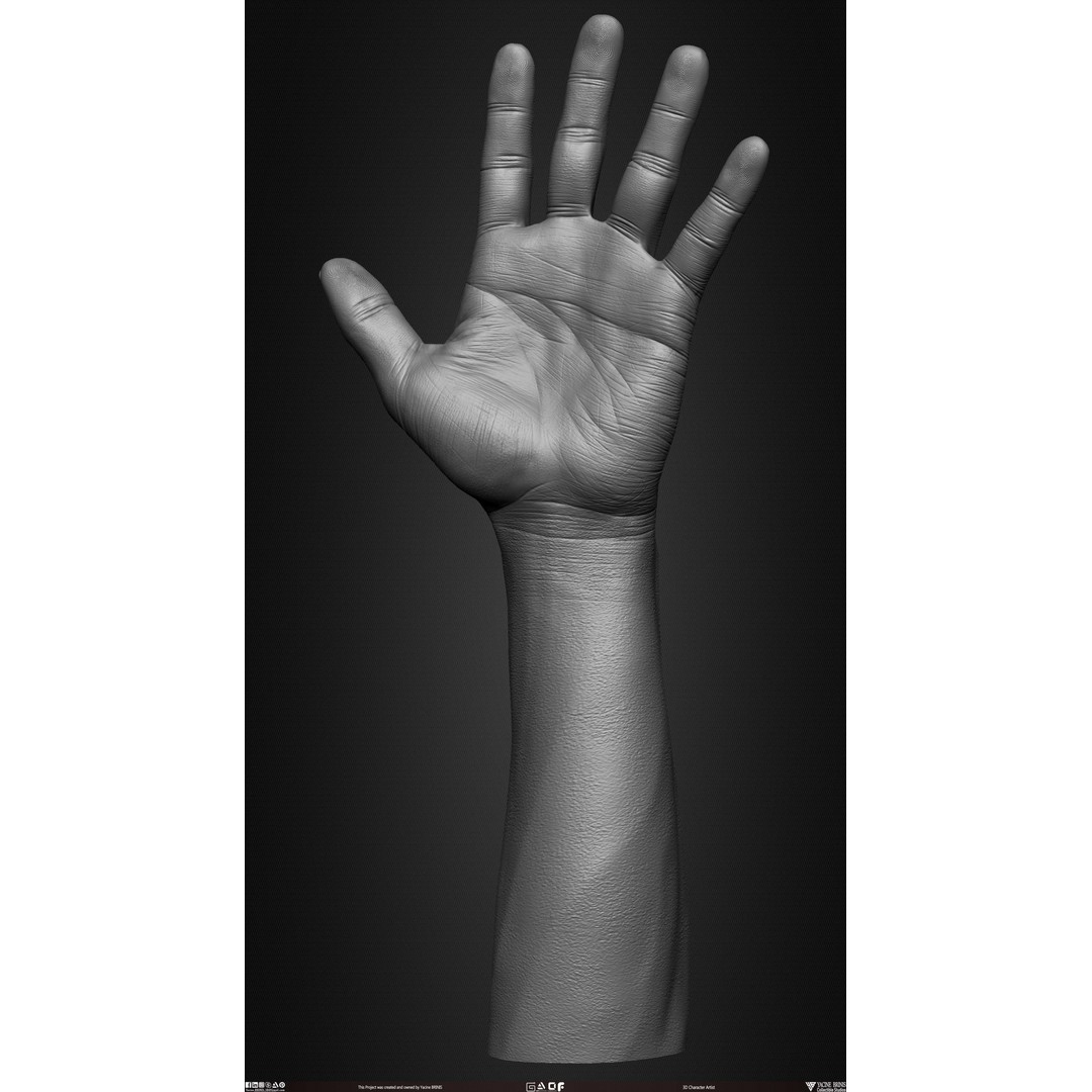 Male Hand 3D Model – Low Poly BaseMesh for Character Design - View 23
