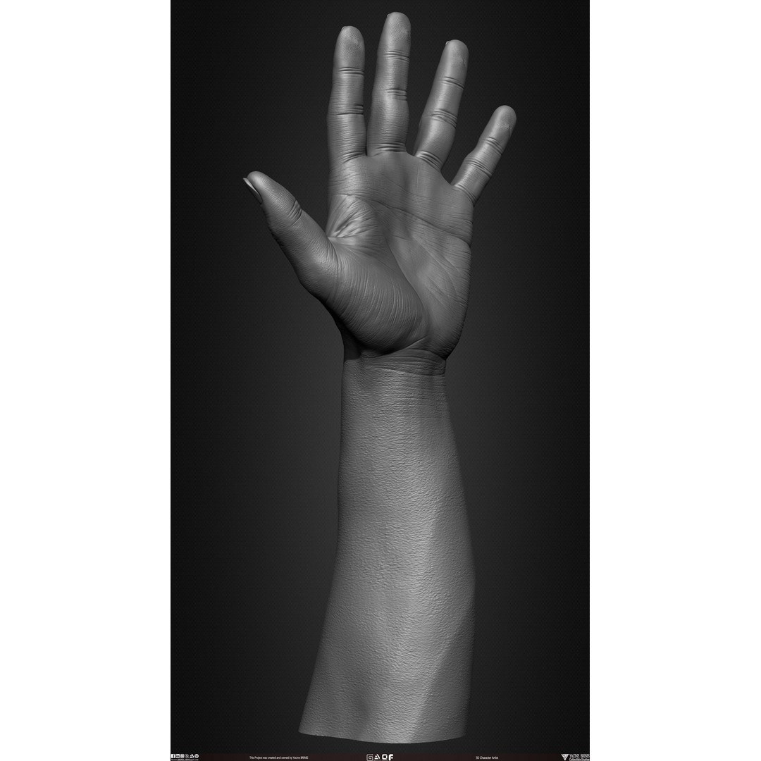 Male Hand 3D Model – Low Poly BaseMesh for Character Design - View 24