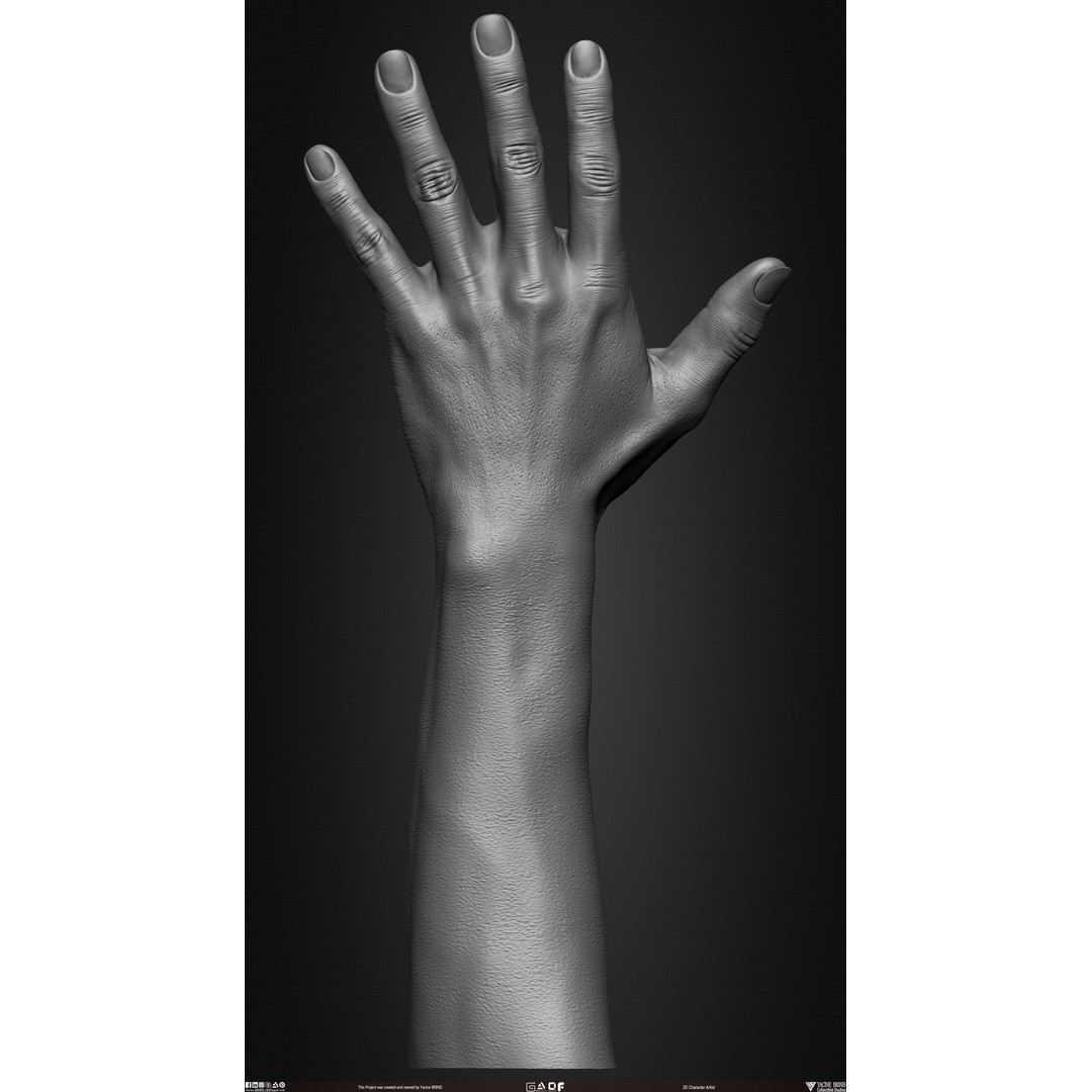 Male Hand 3D Model – Low Poly BaseMesh for Character Design - View 25