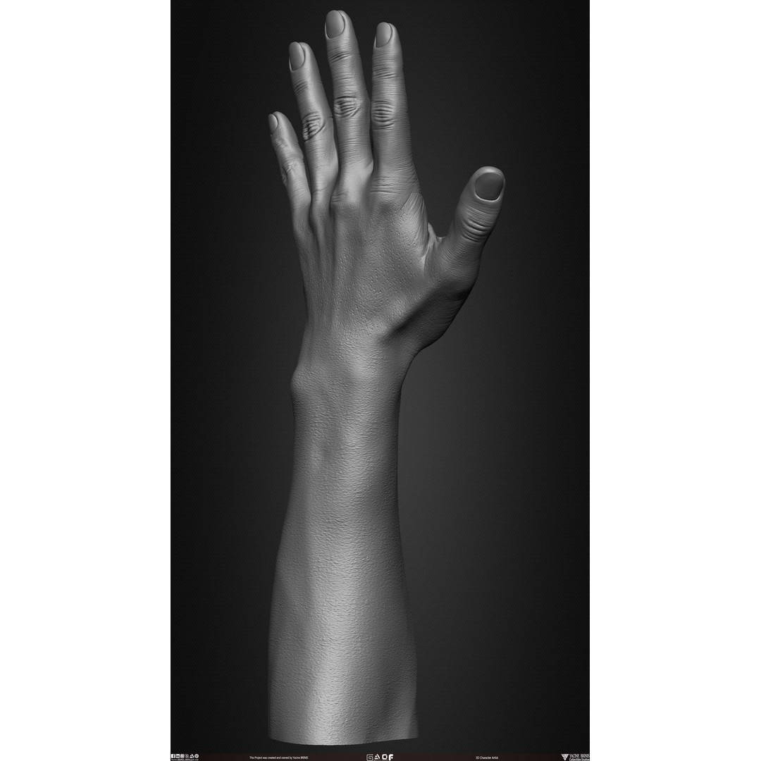 Male Hand 3D Model – Low Poly BaseMesh for Character Design - View 26