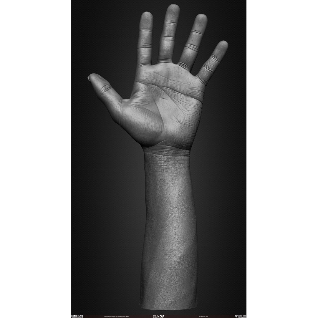Male Hand 3D Model – Low Poly BaseMesh for Character Design - View 27
