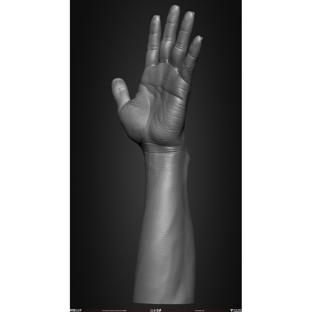 Male Hand 3D Model – Low Poly BaseMesh for Character Design - View 28