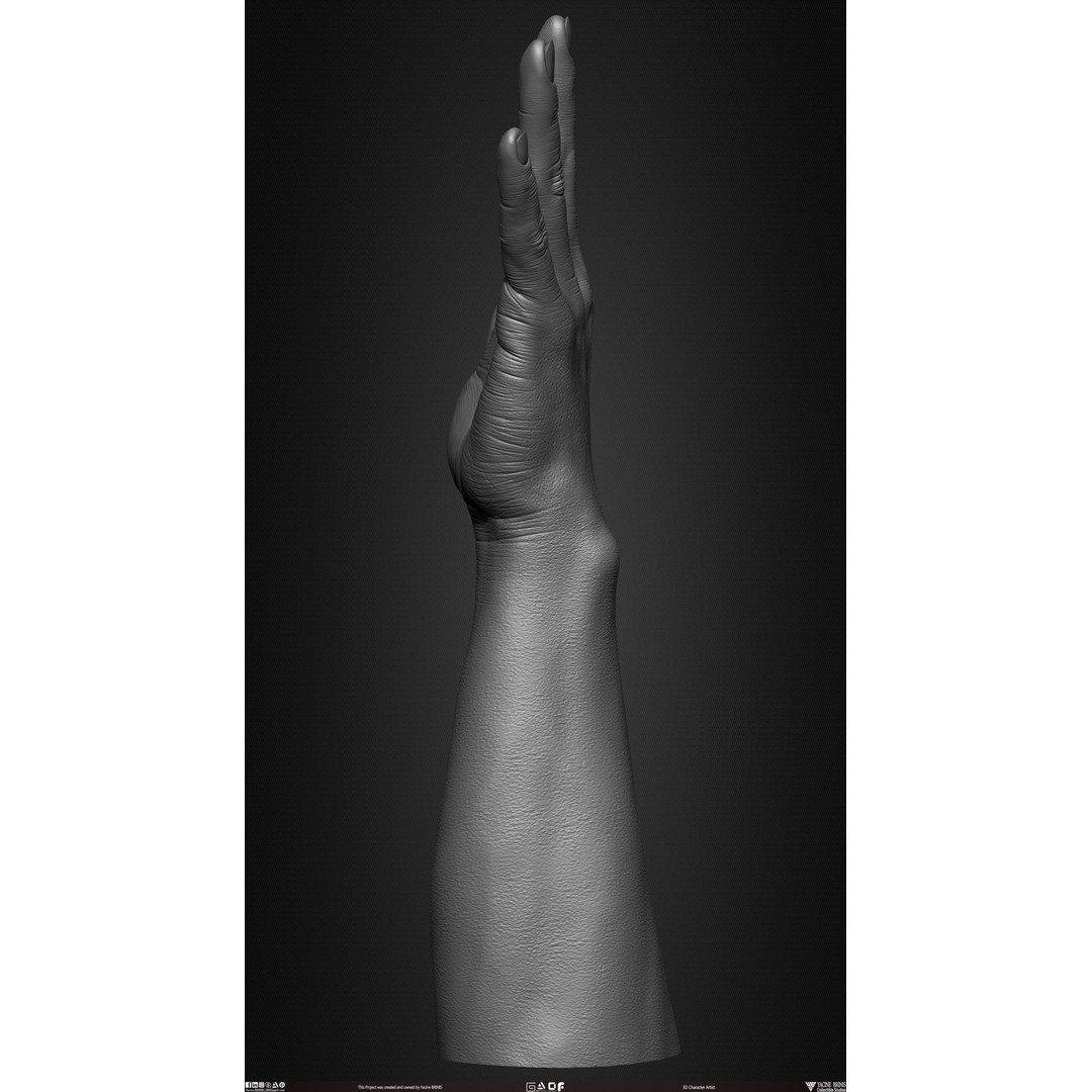 Male Hand 3D Model – Low Poly BaseMesh for Character Design - View 29