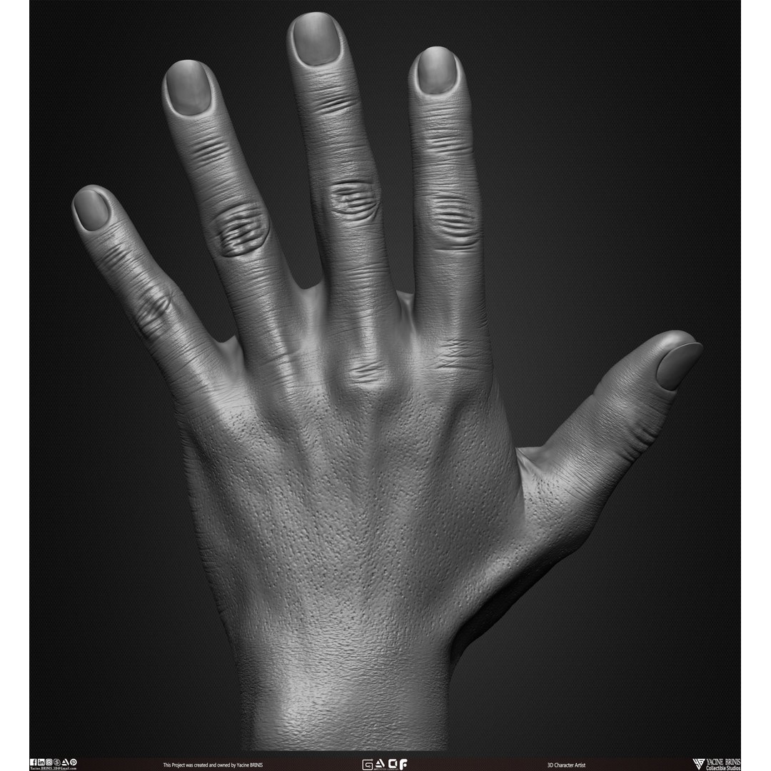 Male Hand 3D Model – Low Poly BaseMesh for Character Design - View 3