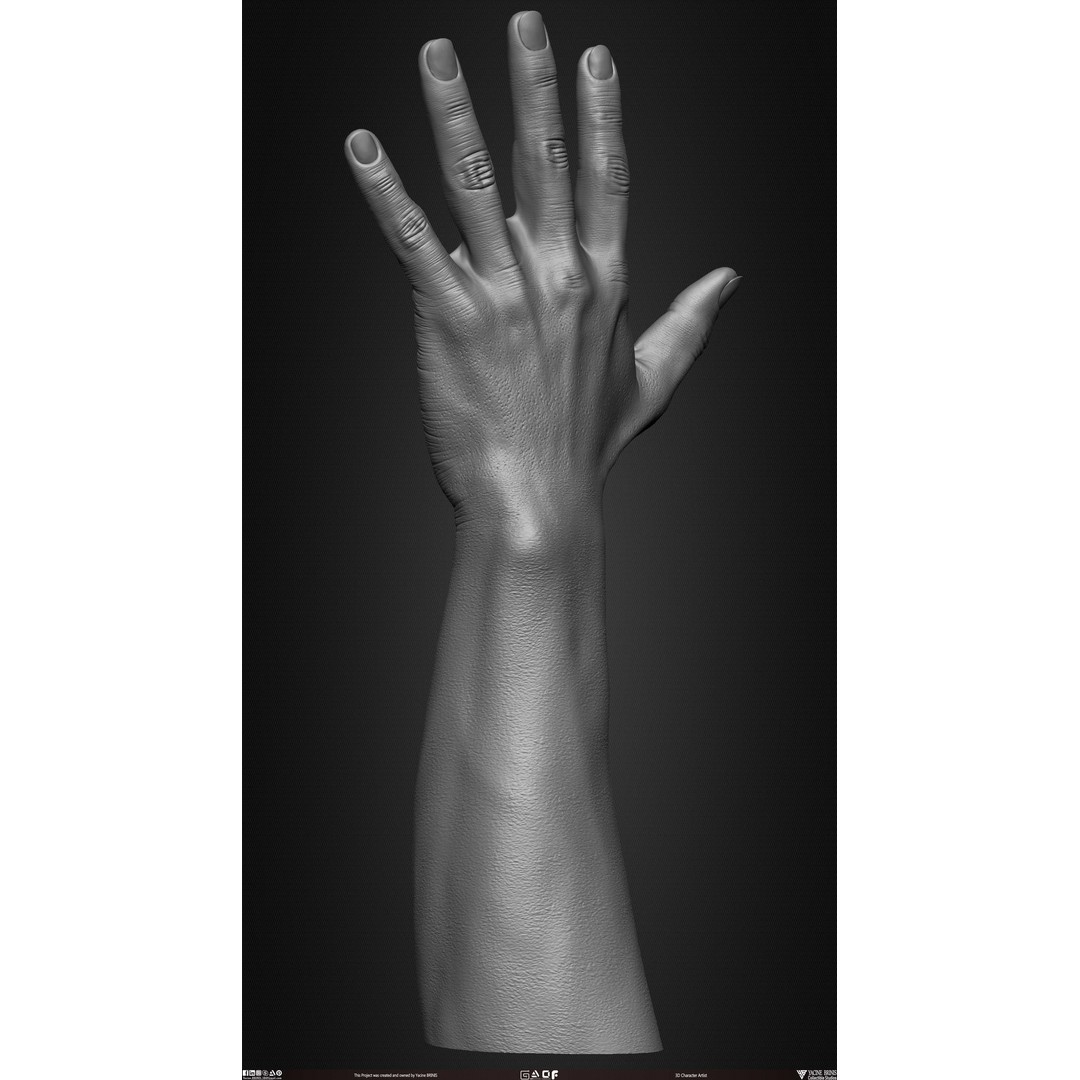 Male Hand 3D Model – Low Poly BaseMesh for Character Design - View 30