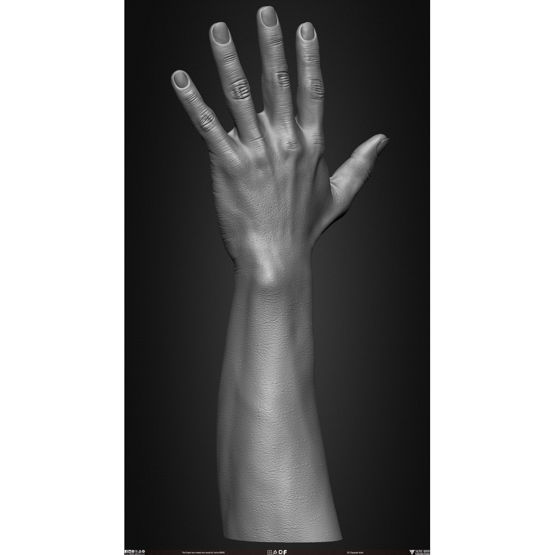 Male Hand 3D Model – Low Poly BaseMesh for Character Design - View 31