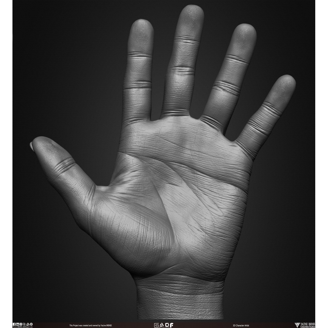 Male Hand 3D Model – Low Poly BaseMesh for Character Design - View 4