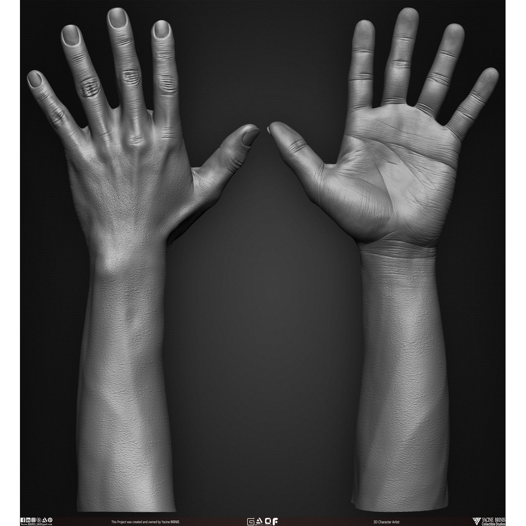 Male Hand 3D Model – Low Poly BaseMesh for Character Design - View 5