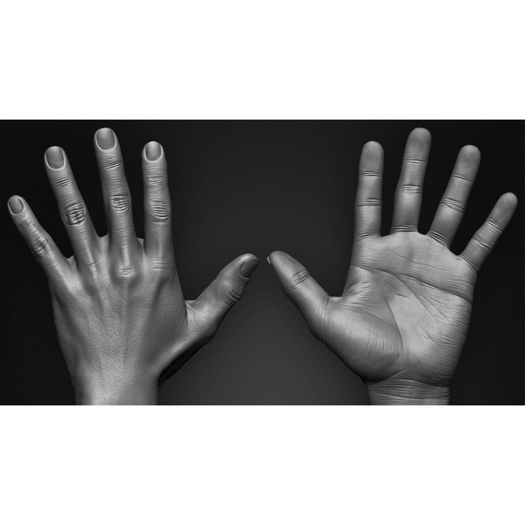 Male Hand 3D Model – Low Poly BaseMesh for Character Design - View 6