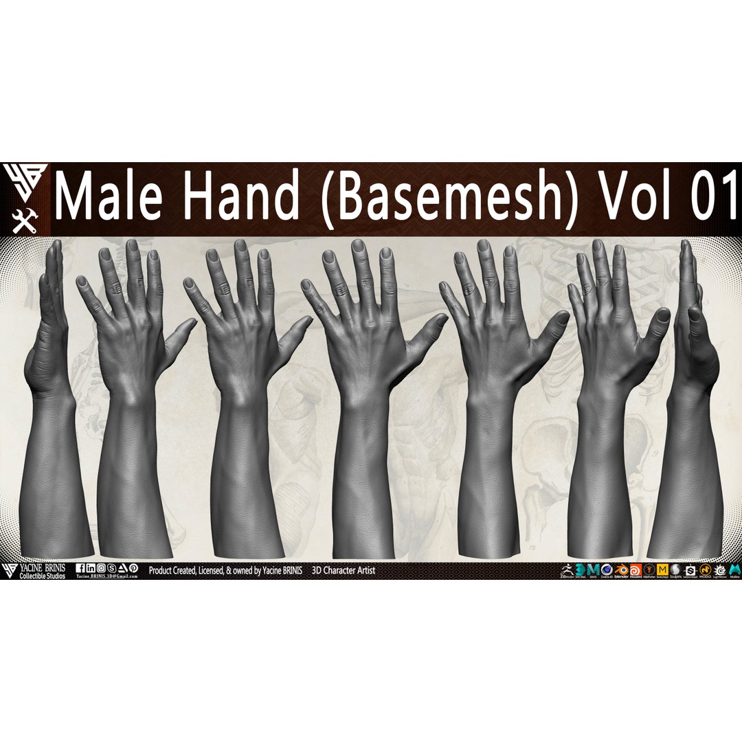 Male Hand 3D Model – Low Poly BaseMesh for Character Design - View 8