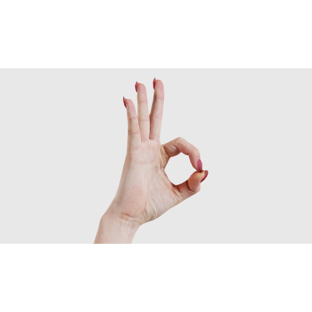 Woman Hand Sign Alphabet F 3D Model – Low Poly PBR Asset, FBX - View 18