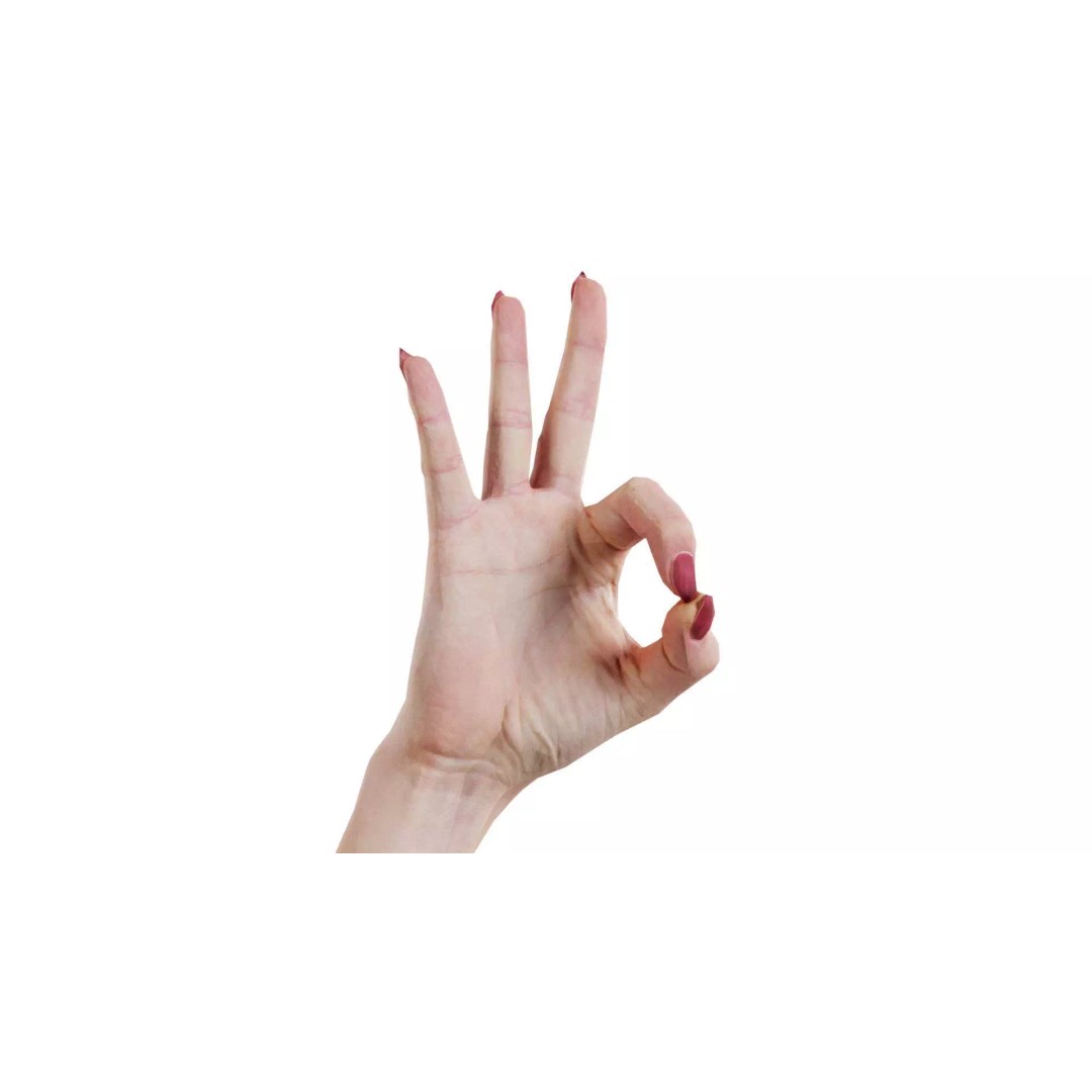 Woman Hand Sign Alphabet F 3D Model – Low Poly PBR Asset, FBX - View 2