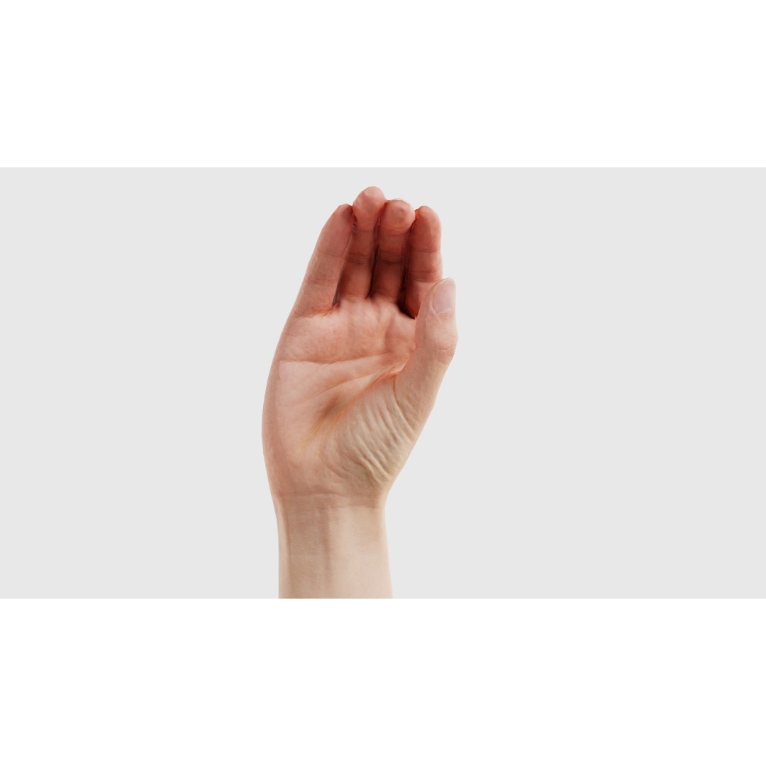 Finger Alphabet C 3D Model – Low Poly Character with PBR Textures, FBX
