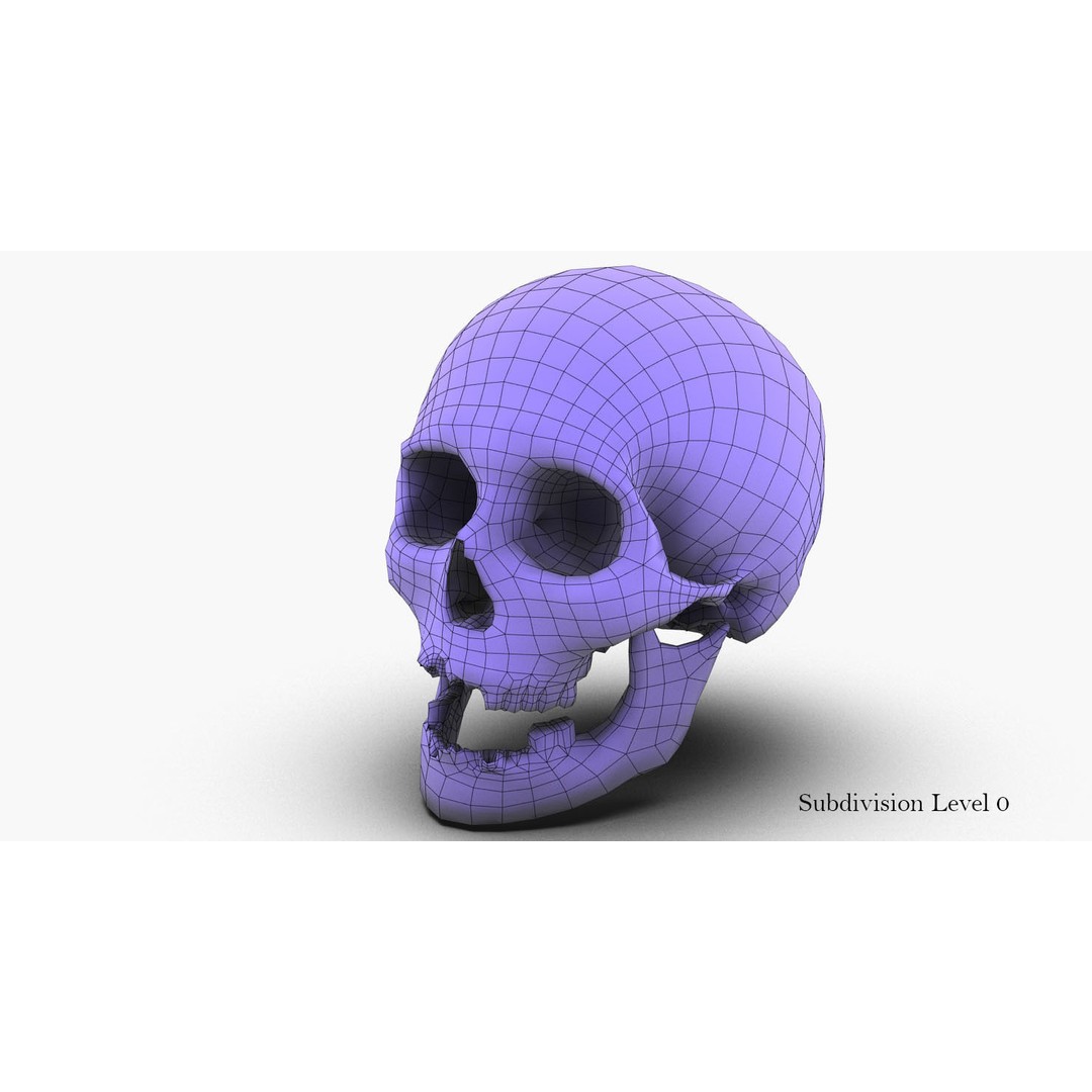 Real Human Skull 3D Model – Low Poly Game Asset, PBR Textures - View 45