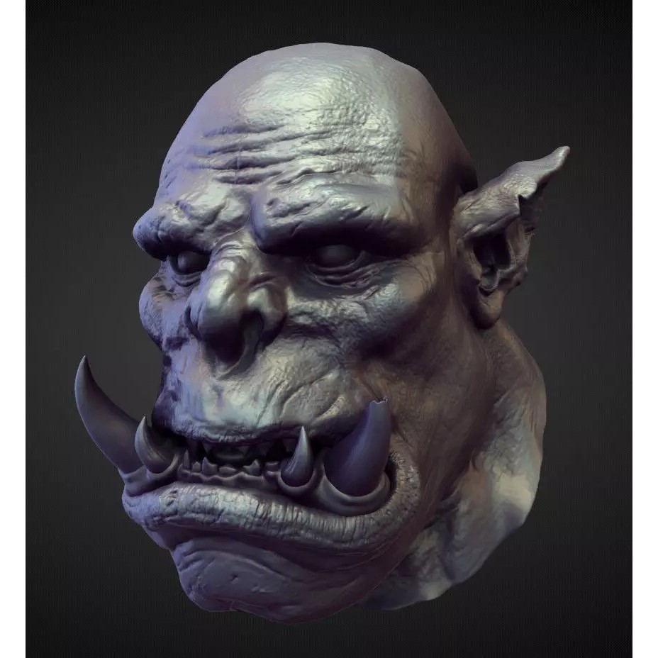 High Poly Head 3D Model – Character Sculpting Asset, OBJ Format