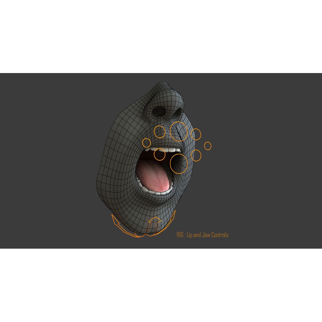 Rigged Male Mouth 3D Model – Realistic Character Animation Asset, FBX - View 14