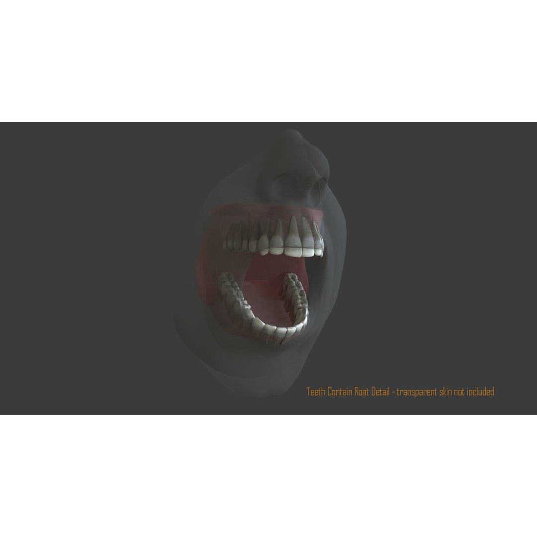 Rigged Male Mouth 3D Model – Realistic Character Animation Asset, FBX - View 17