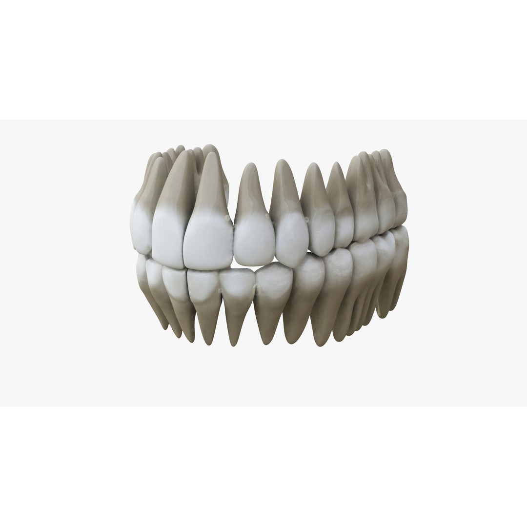 Rigged Male Mouth 3D Model – Realistic Character Animation Asset, FBX - View 18