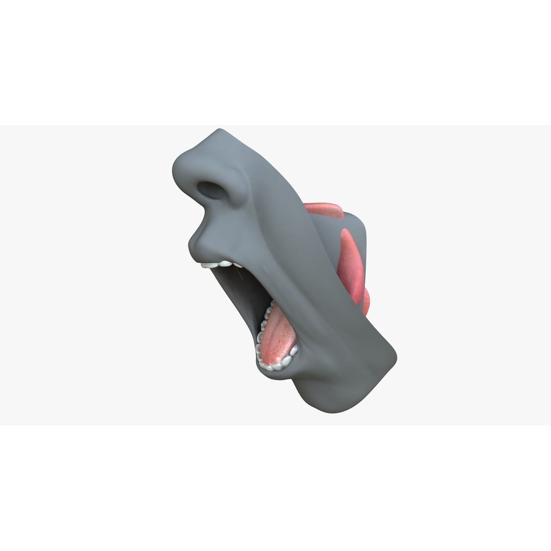 Rigged Male Mouth 3D Model – Realistic Character Animation Asset, FBX - View 3