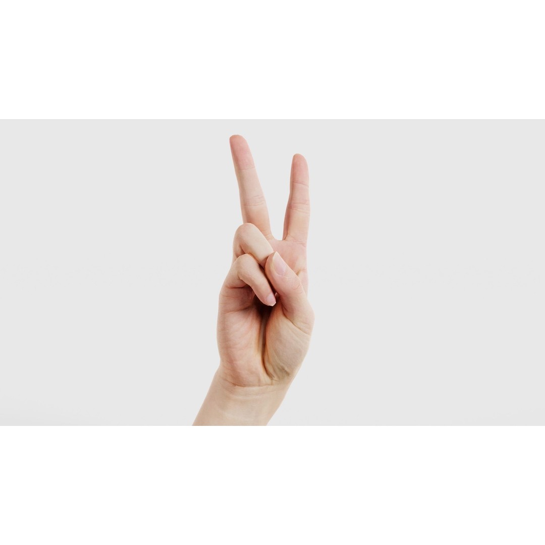 Finger Alphabet V 3D Model – Low Poly Character with PBR Textures, FBX - View 18