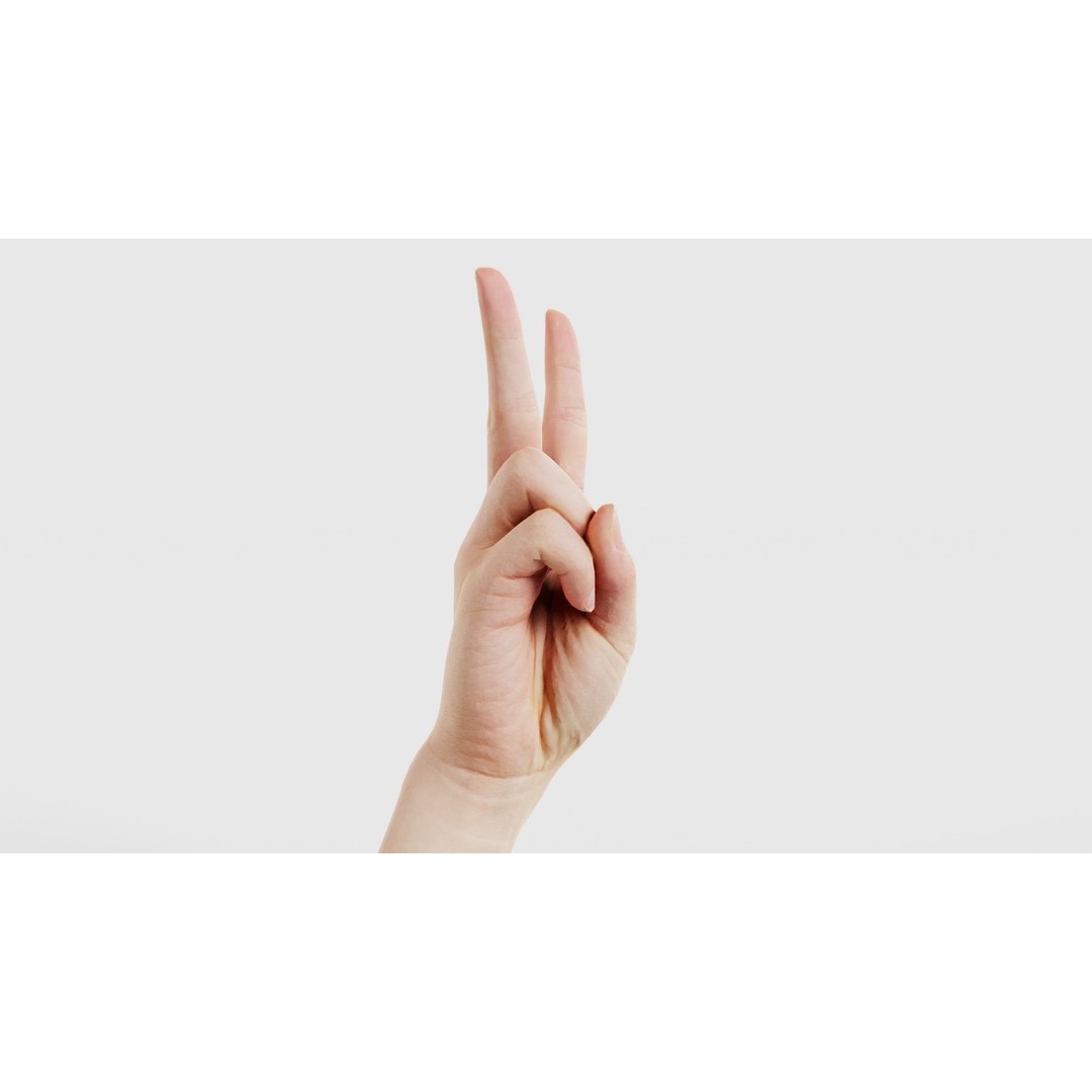Finger Alphabet V 3D Model – Low Poly Character with PBR Textures, FBX - View 19