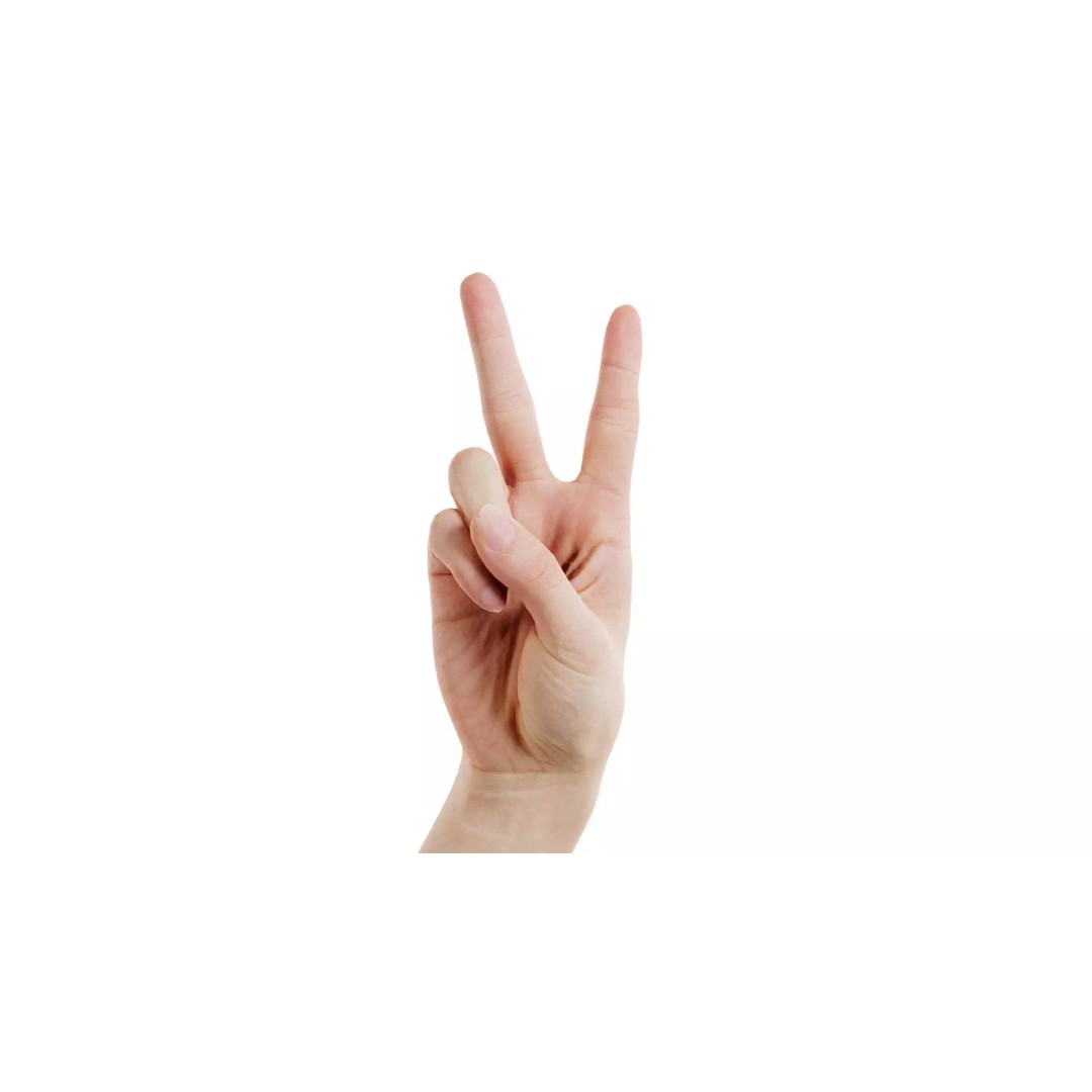 Finger Alphabet V 3D Model – Low Poly Character with PBR Textures, FBX - View 2