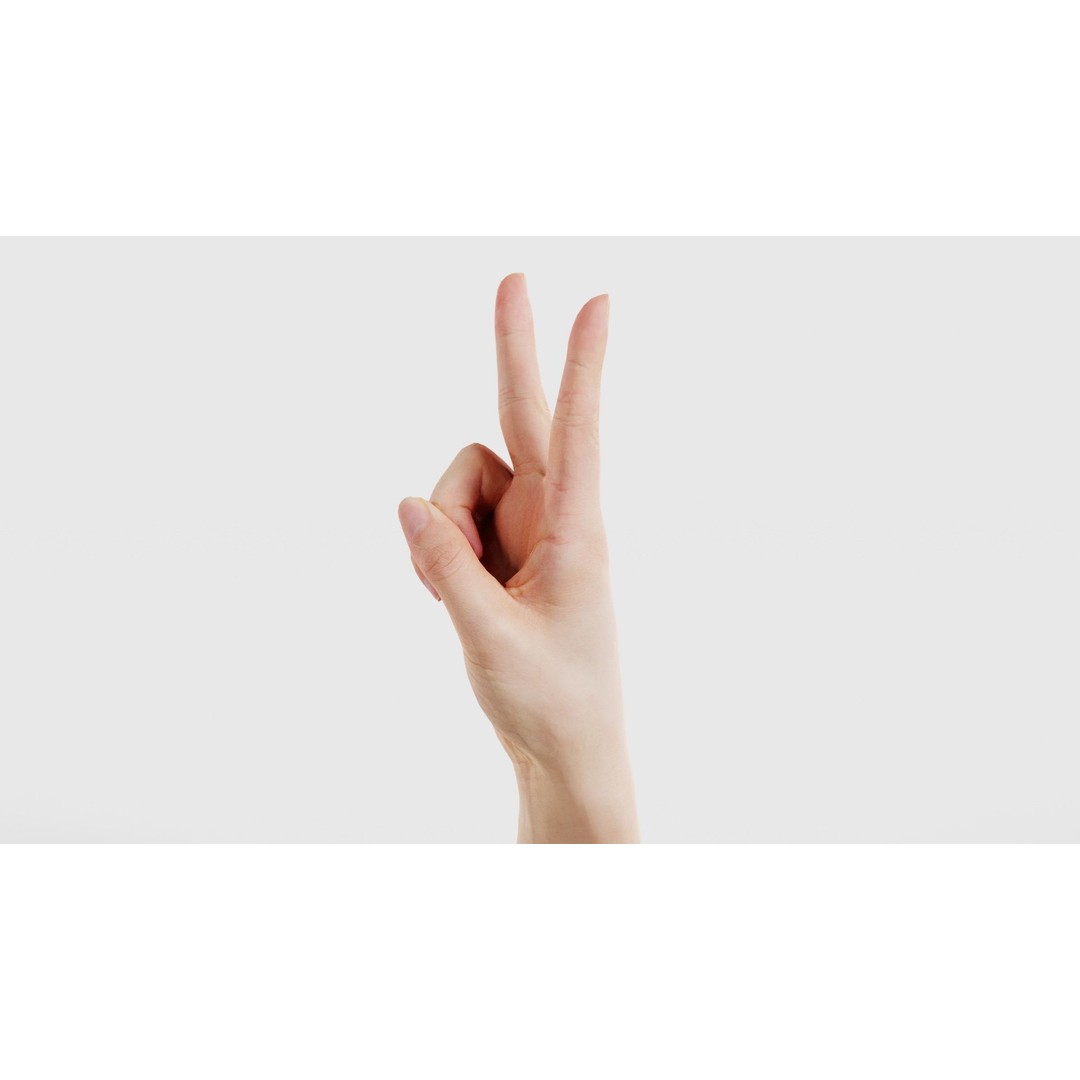 Finger Alphabet V 3D Model – Low Poly Character with PBR Textures, FBX - View 27