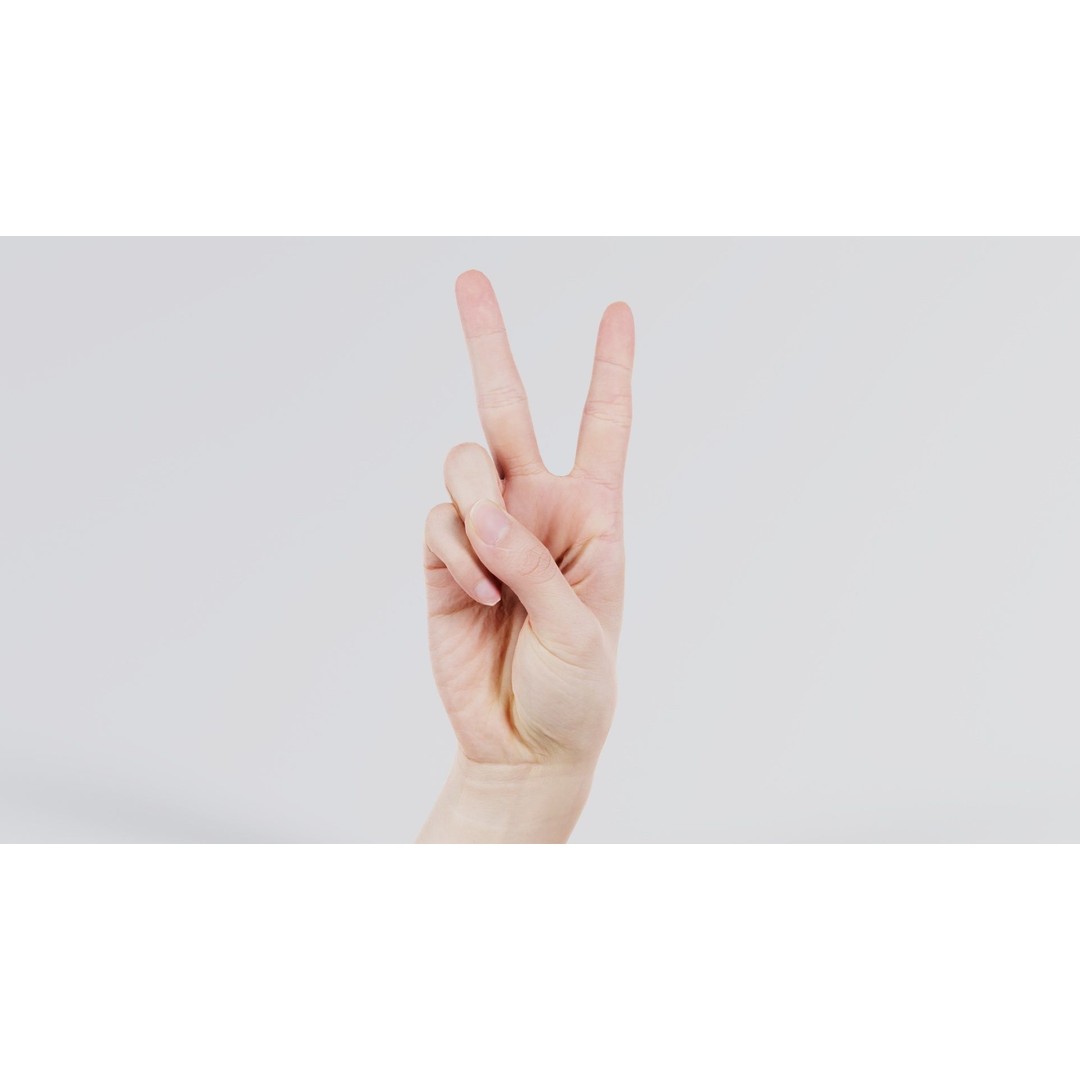 Finger Alphabet V 3D Model – Low Poly Character with PBR Textures, FBX - View 5