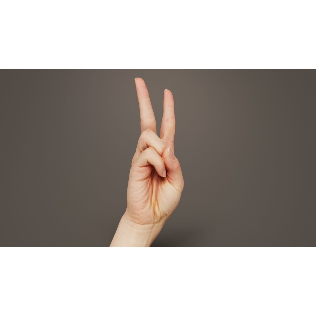 Finger Alphabet V 3D Model – Low Poly Character with PBR Textures, FBX - View 6