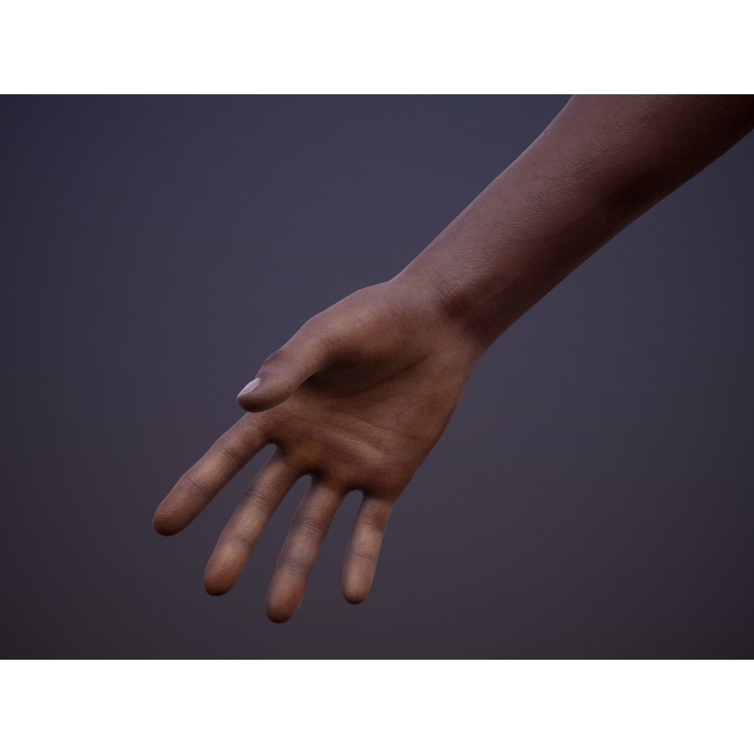 Realistic First Person Arms 3D Model – Low Poly Game Asset, FBX, PBR - View 9