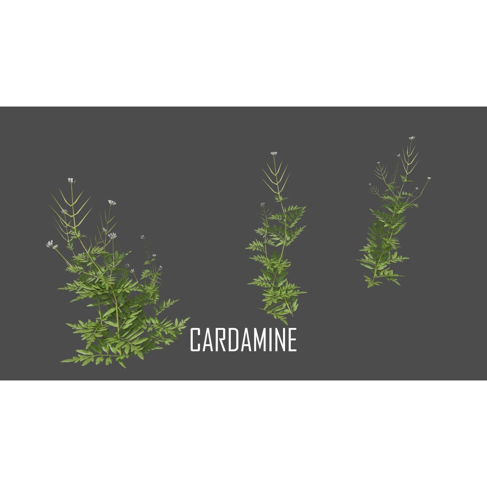 Cemetery Pack - Low-Poly Game-Ready 3D Model - View 124