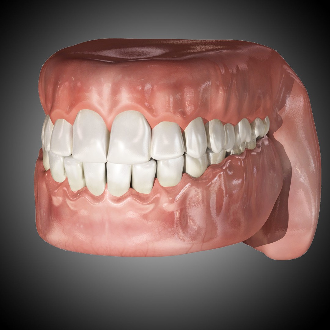 Human Mouth 3D Model – Rigged Anatomical Asset for Animation - View 5