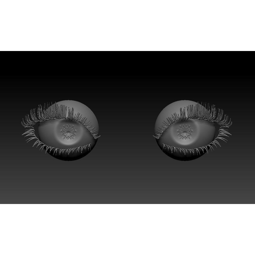 Female Eyes 3D Model – High Poly Realistic Eyeballs and Eyelashes, OBJ/ZTL
