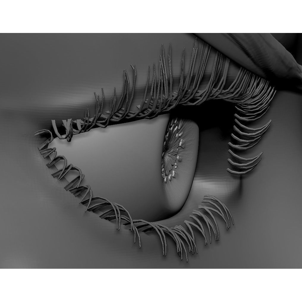 Female Eyes 3D Model – High Poly Realistic Eyeballs and Eyelashes, OBJ/ZTL - View 11