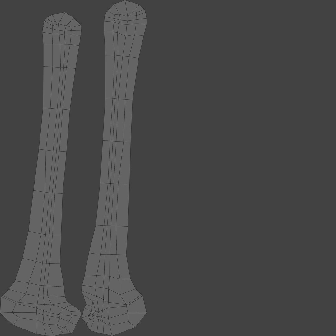 Human Leg Bones 3D Model – Anatomically Accurate PBR Asset, FBX - View 28