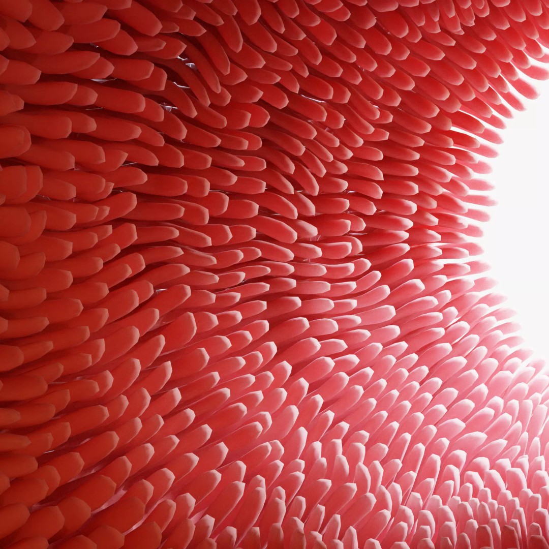 Intestinal Villi Animation 3D Model – High Poly PBR Asset, FBX, OBJ - View 2