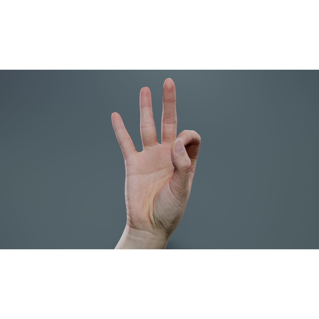 Finger Alphabet F 3D Model – Low Poly Hand Gesture, FBX, Blender - View 10