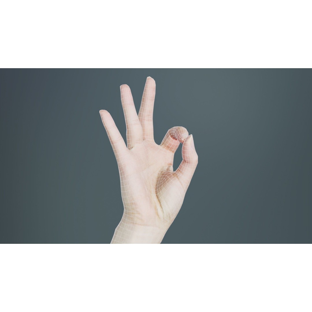 Finger Alphabet F 3D Model – Low Poly Hand Gesture, FBX, Blender - View 11